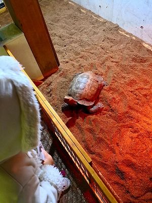 IMG_20180225_131448