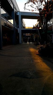 20181201_154913089
