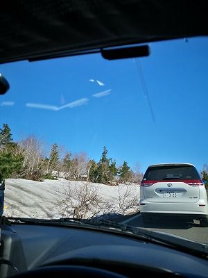 IMG_20190429_074133