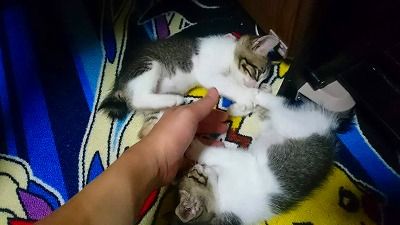 FB_IMG_1537451754790