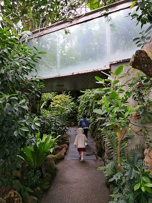IMG_20180225_131411