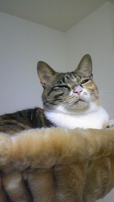 2a98d7de.jpg