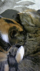 d06a216e.jpg