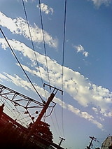 8f9138ca.jpg