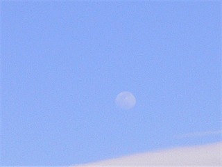 tuki050323
