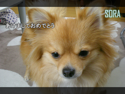 おめでとう!!