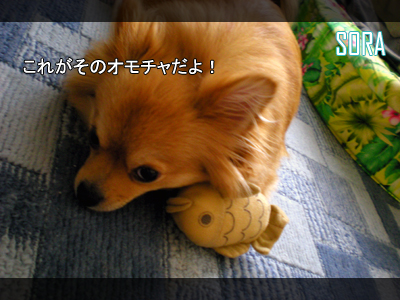 たいやき