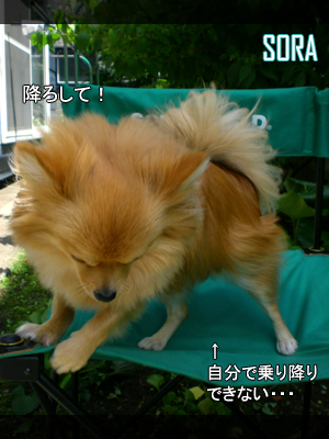 おろして・・・!