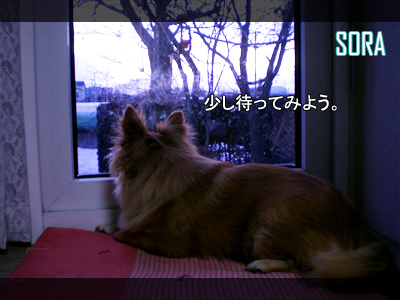 待つ