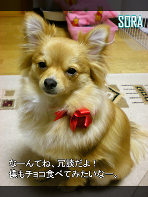 冗談