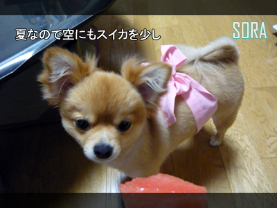 オマケ