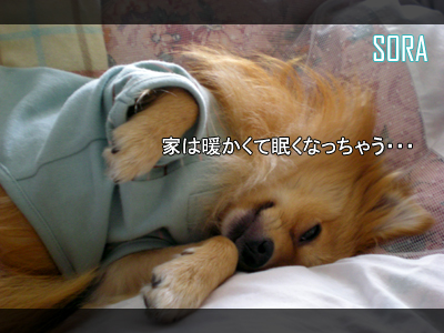 眠・・