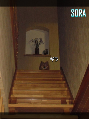 ギラ