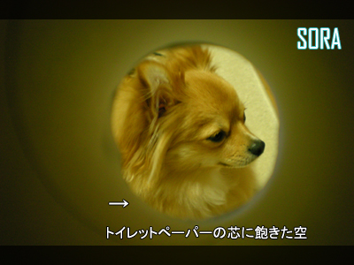 もっと楽しい事ないかなー!