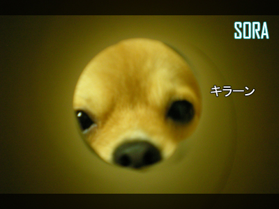 フフフッ