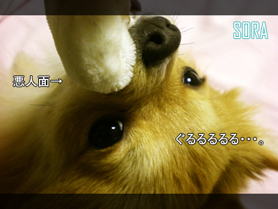 ぐるる