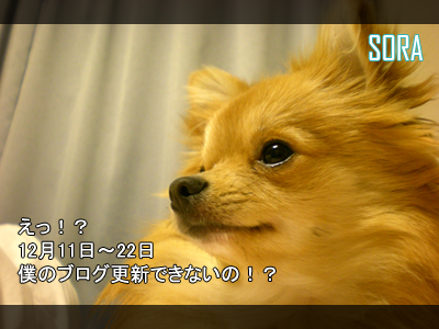 更新