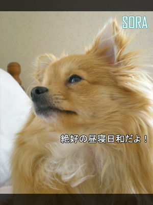 絶好のチャンス