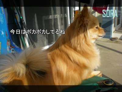 眠くなっちゃうよ