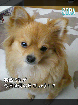 問題