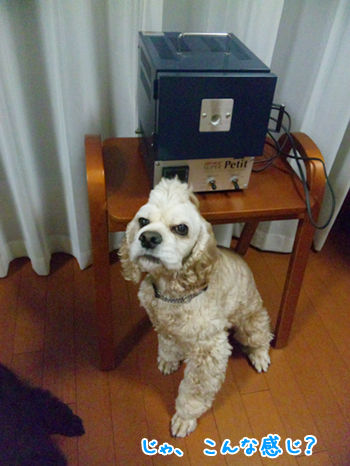 20120327b