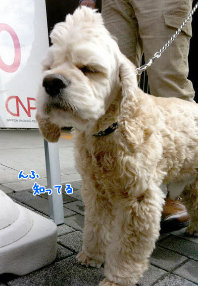 20120429