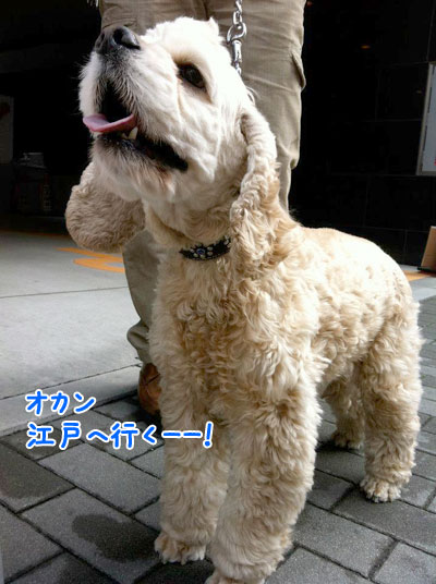 20120429c