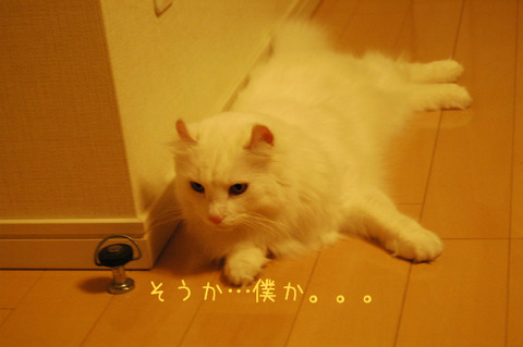 BlogPaint