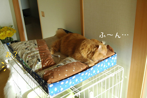 BlogPaint