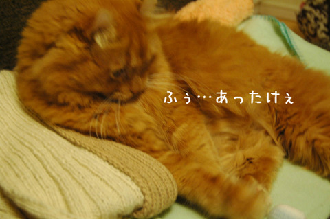 BlogPaint