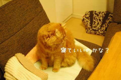 BlogPaint
