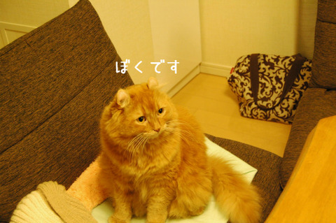 BlogPaint