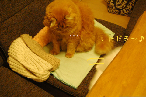 BlogPaint
