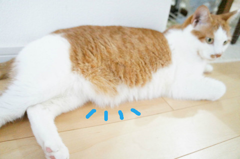 BlogPaint