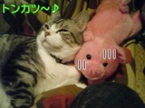 8d4ffb94.jpg