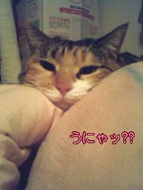 d3f0312e.jpg
