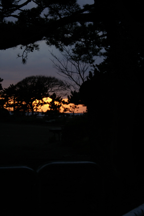 0f324061.jpg