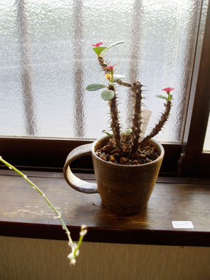 50a75dbf.jpg