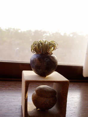 808f6840.jpg