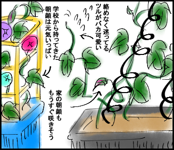 夏ー2