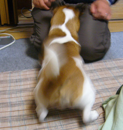 うんどおー!!