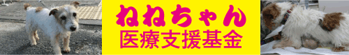 nene_link