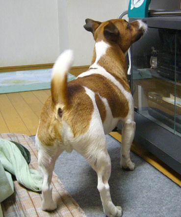 引き締まって?