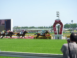 P1000969