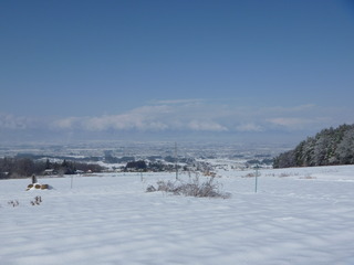 P1020767