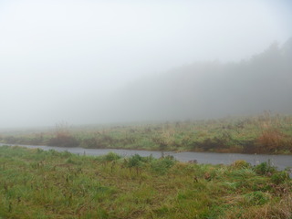 P1020597
