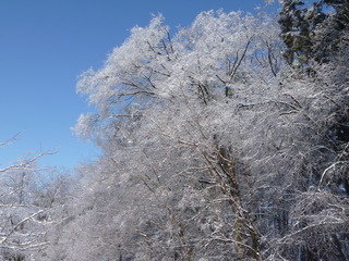 P1020764