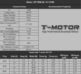 mt1306-10-03