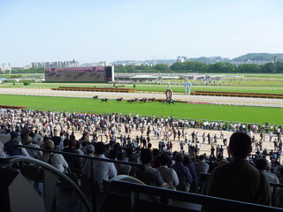 P1000970