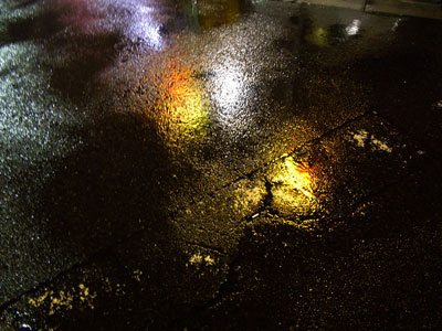 20120123DSCN0382雨SM